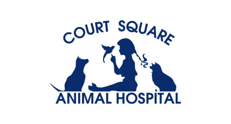 Court Square Animal Hospital | Part of West Hills Animal Hospital