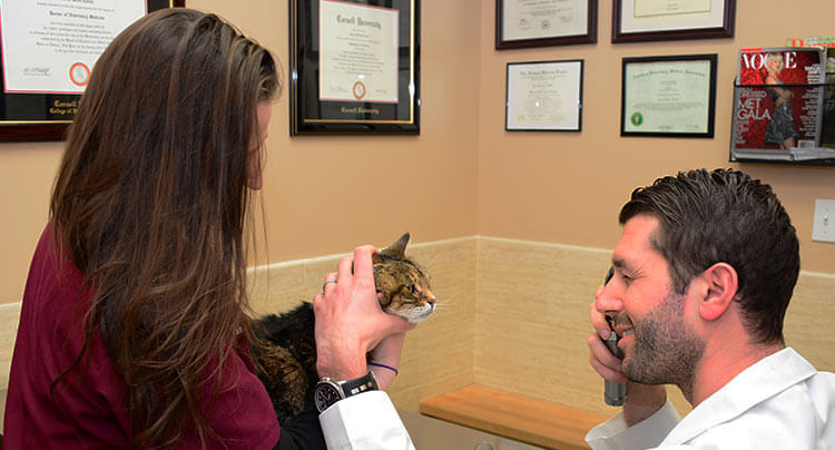 Pet Ophthalmology at West Hills Animal Hospital