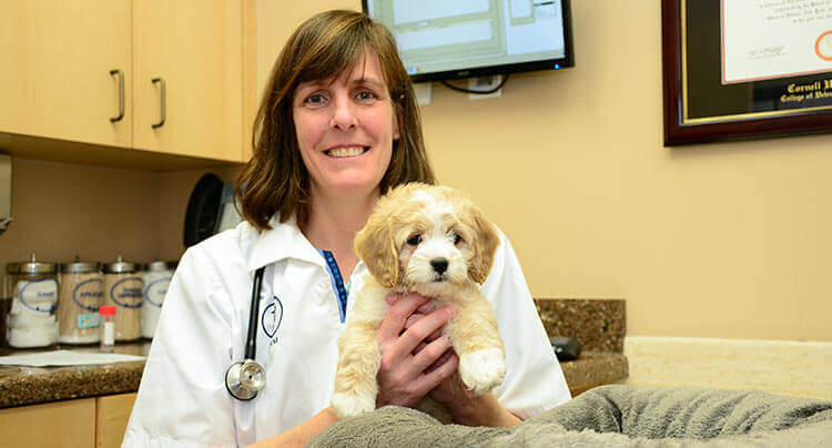 Puppy wellness care at West Hills Animal Hospital