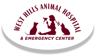 West Hills Animal Hospital 24/7 Pet Emergency Long Island NY