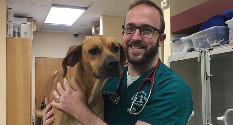 Jordan Sauer, DVM | West Hills Animal Hospital & Emergency Center