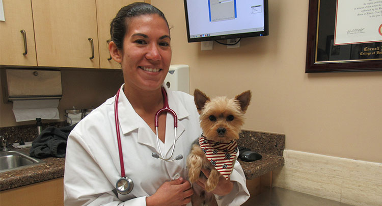 Silvia Rodriguez, DVM | West Hills Animal Hospital & Emergency Center