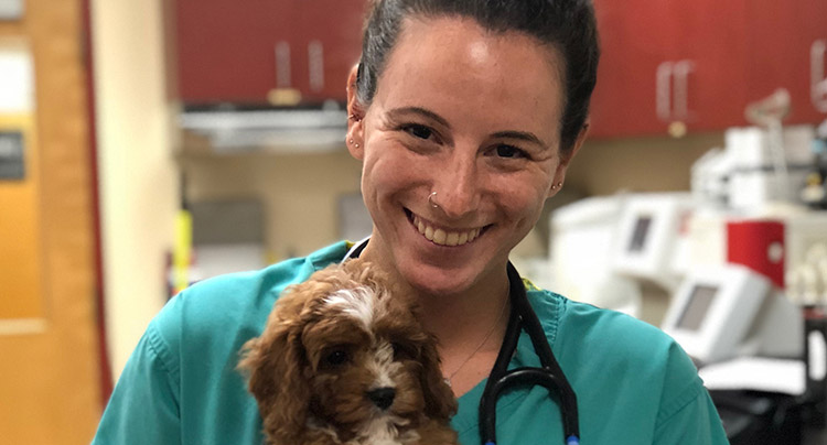 Kristie Williams, DVM | West Hills Animal Hospital & Emergency Center