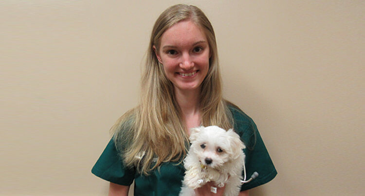 Rebecca Warns, VMD | West Hills Animal Hospital & Emergency Center